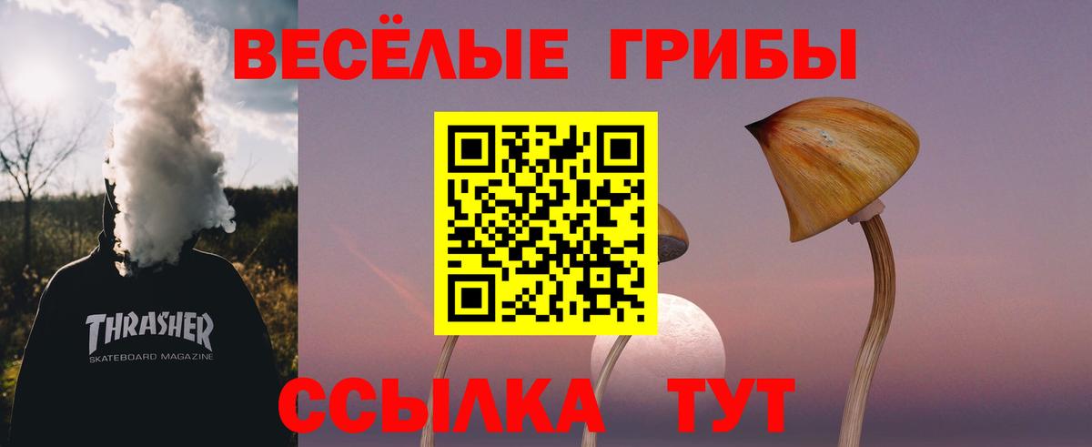 Псилоцибиновые грибы ЛСД Лабинск